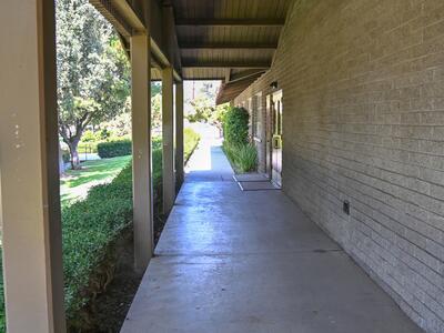 Campus Walkway